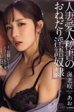 Nonton film ATID-640 Sekretaris Ku, Simpanan Ku – Ao Ebisaki